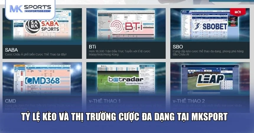 Tỷ lệ kèo và thị trường cược đa dạng tại MKSPORT